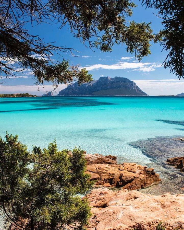 Porto Istana Beach House Olbia Eksteriør bilde